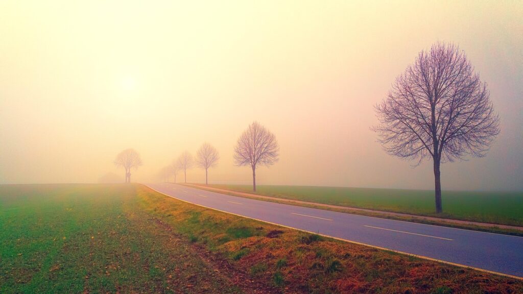 dawn, road, fog, landscape, trees, nature, field, meadow, fields, in the morning, foggy, haze, sunrise, mood, backlighting, morning mood, morning sky, atmospheric, road, road, road, road, road, sunrise